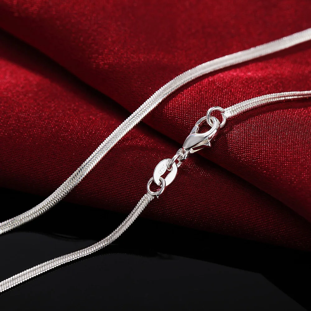 40-75Cm Lengte 925 Sterling Zi - 925 Sterling Silver Chain Necklace Men recensie en prijs